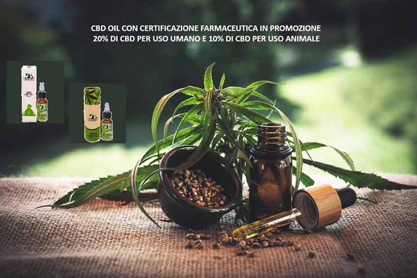 cbd-oil
