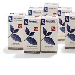 UVA URSINA TINTURA MADRE 200 ML - Speedyfarma.it