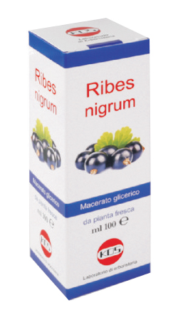RIBES NIGRUM MG 100 ML GOCCE - Speedyfarma.it
