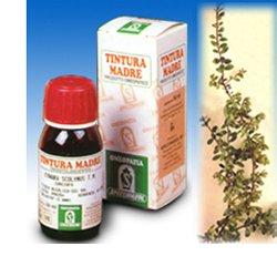 UVA URSINA 30 50ML TM - Speedyfarma.it