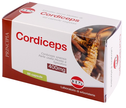 CORDICEPS ESTRATTO SECCO 60 CAPSULE - Speedyfarma.it