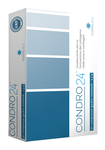 CONDRO24 30 COMPRESSE - Speedyfarma.it