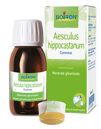 AESCULUS HIPP BOIRON MACERATO GLICERICO 60 ML - Speedyfarma.it