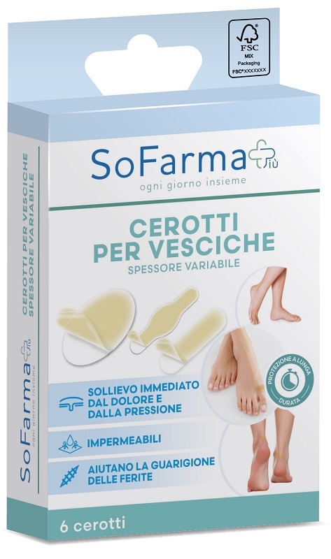 CEROTTO VESCICA ASSORTITI 6 PEZZI SOFARMAPIU' - Speedyfarma.it