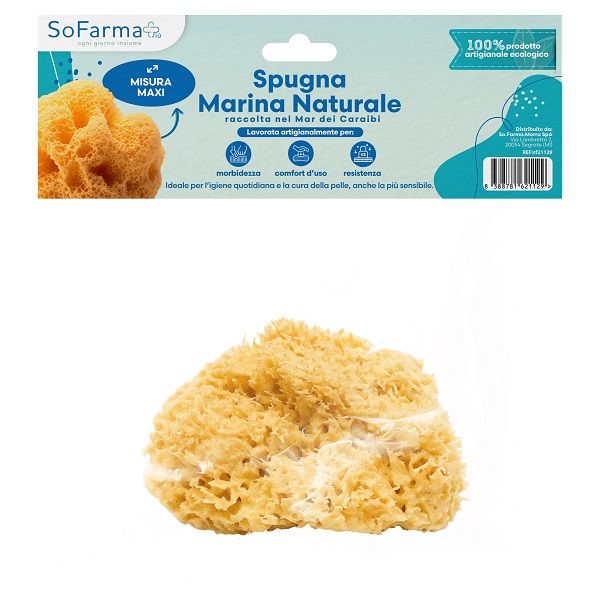 SPUGNA MARINA NATURALE MAXI SOFARMAPIU' - Speedyfarma.it